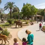 zoo